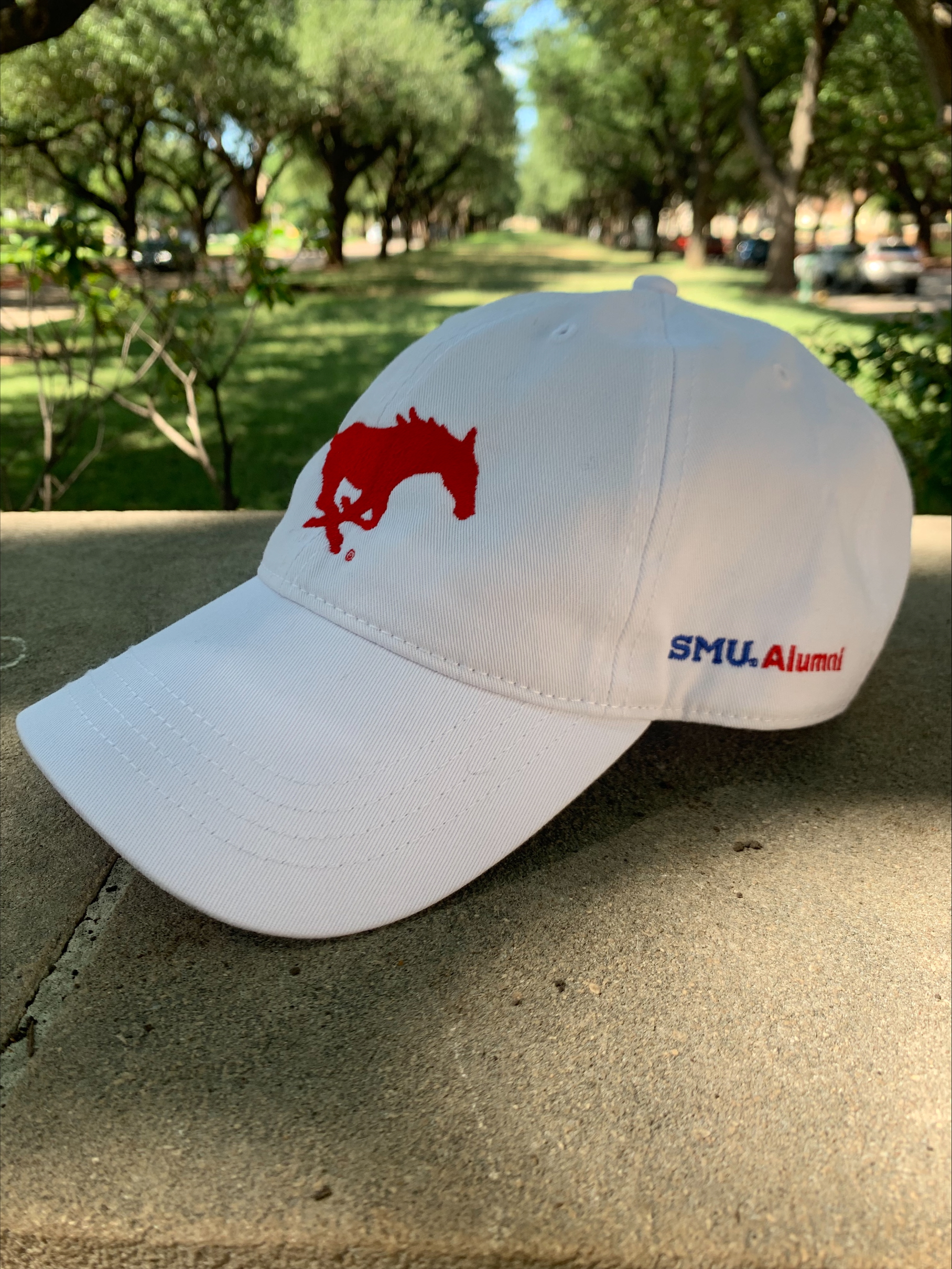 Homecoming Hat