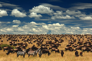 Tanzania